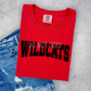 Wildcats-DTF