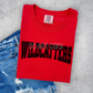 Wildcatters-DTF