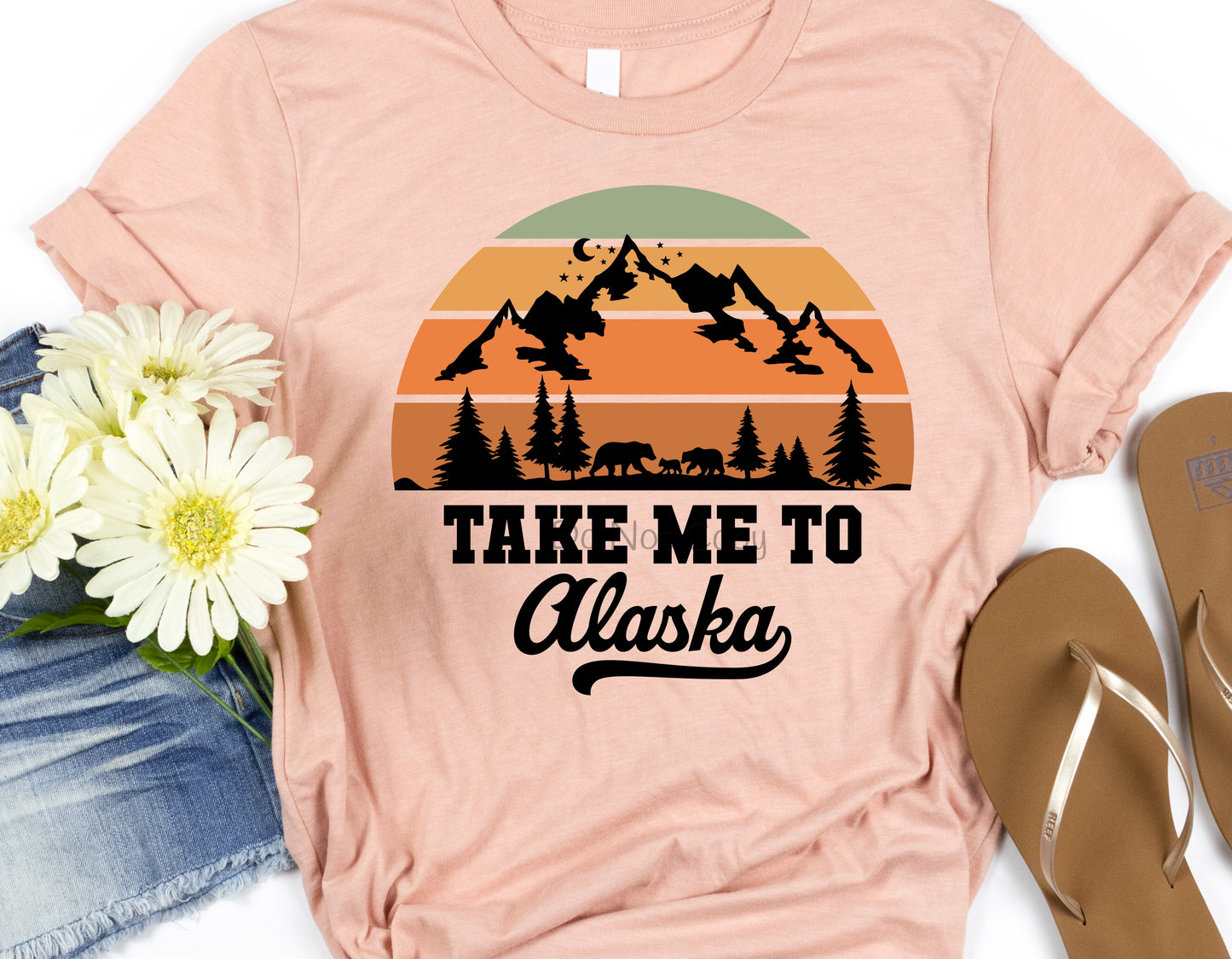 Take me to Alaska-DTF