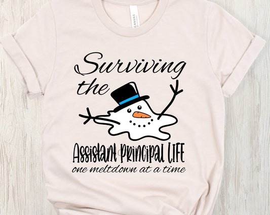 Surviving the assistant principal life one meltdown-DTF