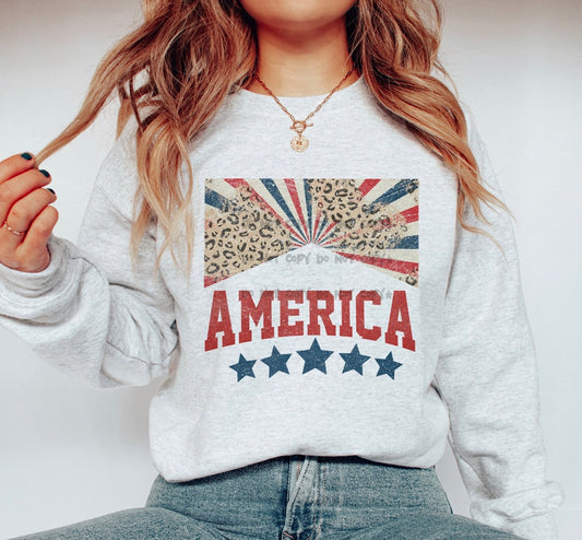 America leopard with sunburst -DTF