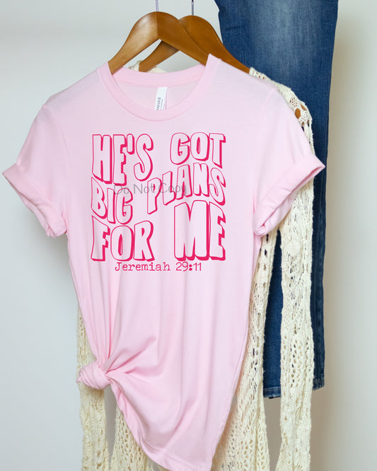 He’s got big plans for me Jeremiah 29:11 pink-DTF