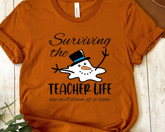 Surviving the teacher life one meltdown-DTF