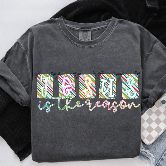 jesus is the reason banner rainbow-DTF&UV