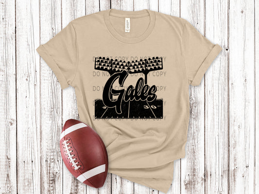 Gales Football Field BLK - DTF