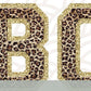 CUSTOM Chenille Letters & Numbers-DTF