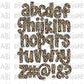 Make your own- Several Fonts to choose from -DTF