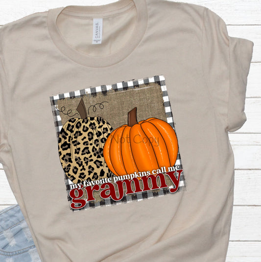 My favorite pumpkins call me Grammy leopard pumpkin frame -DTF
