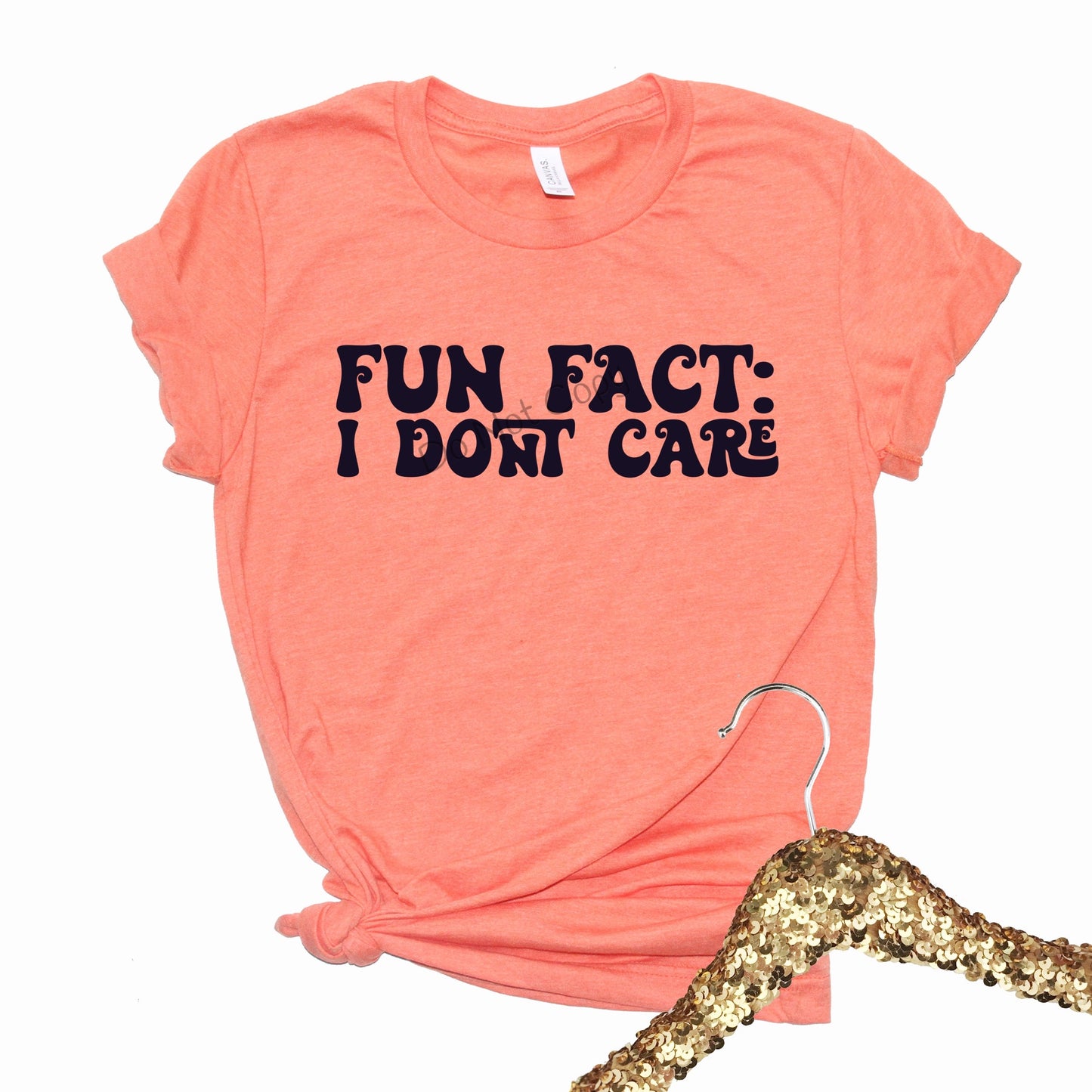 Fun fact: I dont care-DTF