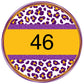 Multi colored leopard circle custom-DTF