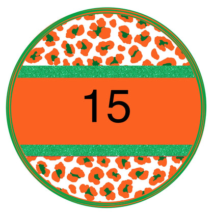 Multi colored leopard circle custom-DTF