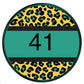 Multi colored leopard circle custom-DTF