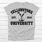 Yellowstone university - DTF