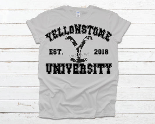 Yellowstone university - DTF