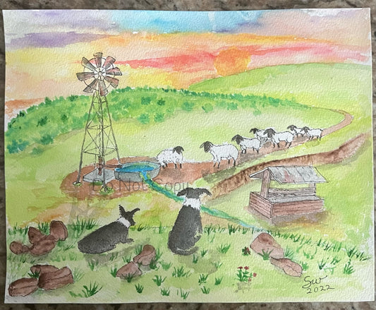 Sheep dogs-8x10
