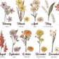 Custom Name Garden with birth month flowers - great for Mother’s Day - DTF