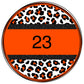 Multi colored leopard circle custom-DTF
