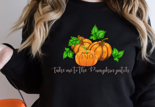 Take me to the pumpkin patch 3 orange pumpkins-DTF