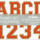 CUSTOM Chenille Letters & Numbers-DTF