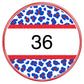Multi colored leopard circle custom-DTF
